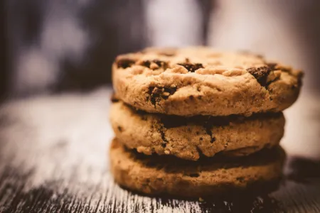 Fijnvoorthuis Privacy cookies