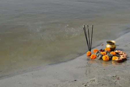 Bharat Darshan Wierook online kopen