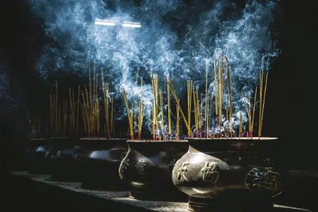 Palo Santo Wierook online kopen