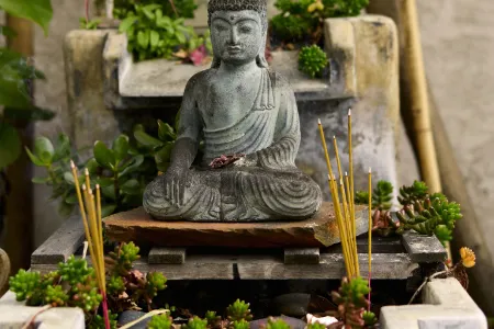 Muggen en vliegen wierook online kopen