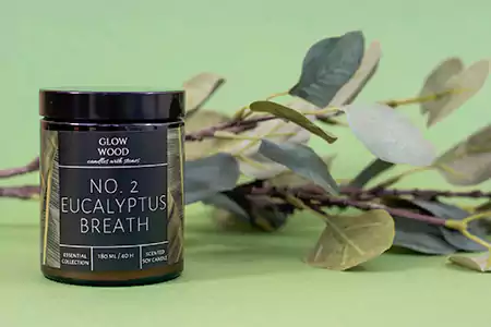De beste Eucalyptus Geurkaarsen