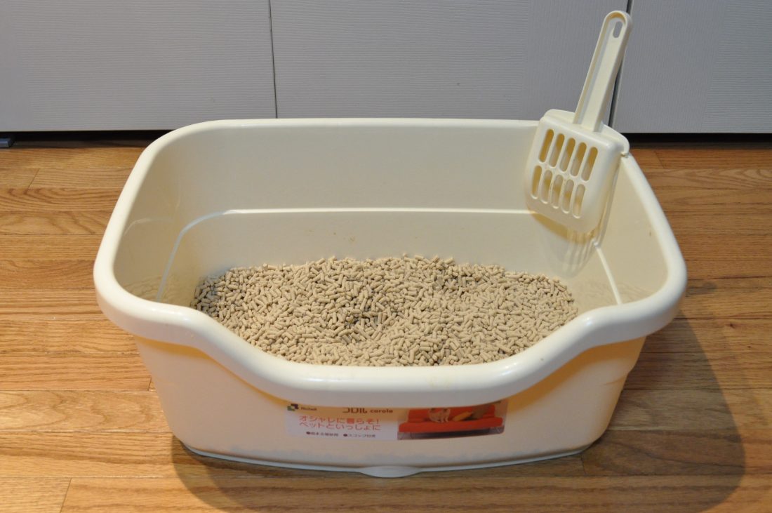 Hoe verwijder je kattenbak geur? Oma weet raad