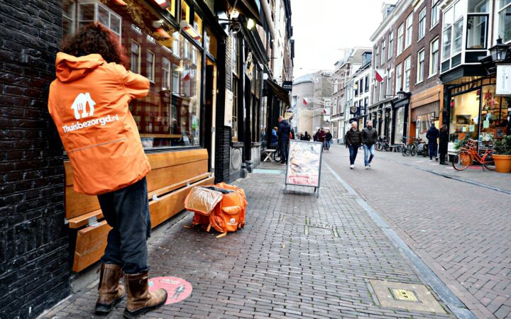 Kuipplanten naar binnen halen: bij welke temperatuur en waar zet je ze