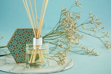 Robijn Geurstokjes: de 10 beste van November 2025