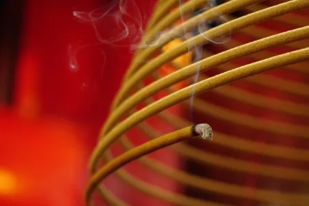 Wierook Spiraal: de 7 beste in November 2025