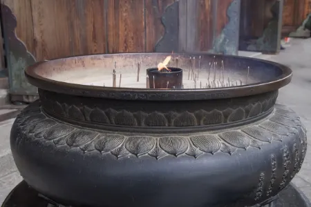 Japanse Wierook: de 10 beste in November 2025