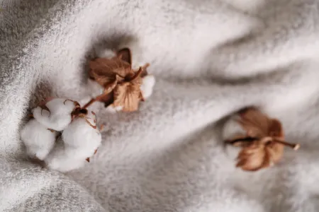 Een Huis Vol Heerlijke Geuren: Tips voor Geurdecoratie in Huis