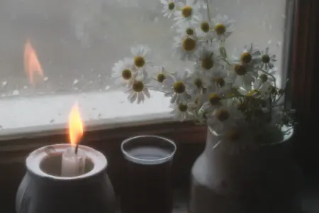Waar komt de heerlijke geur van regen vandaan?