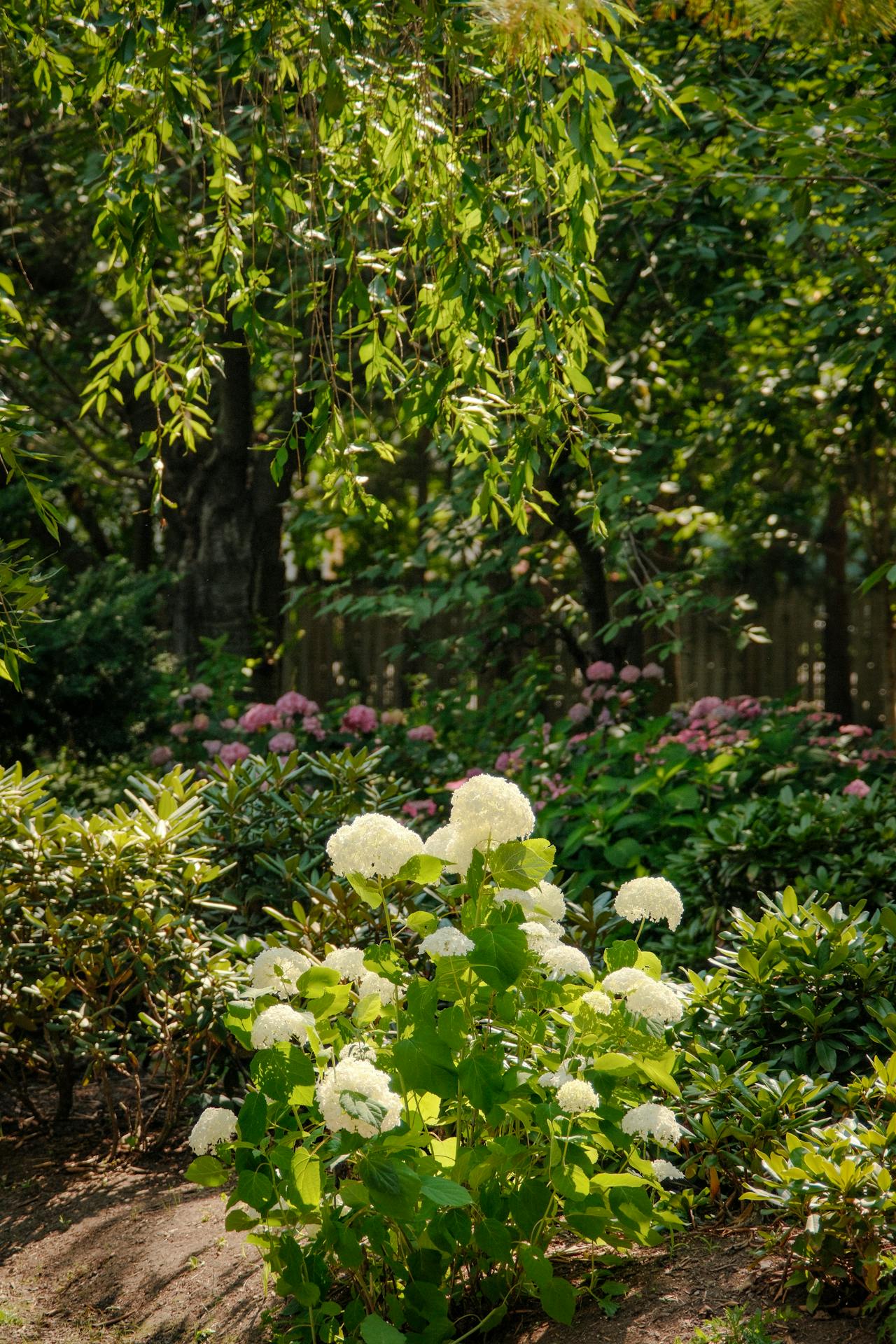 Zo maak je van je tuin de ideale plek om tot rust te komen