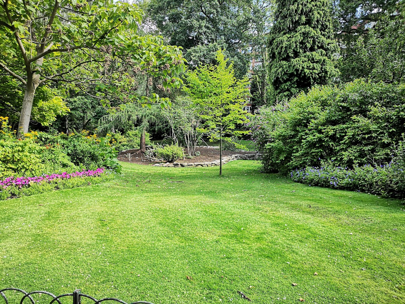 Groen grasveld met bomen in de zon