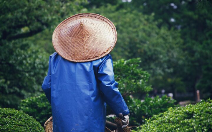 Zo zorg je voor een tuin waar je de hele zomer van kunt genieten